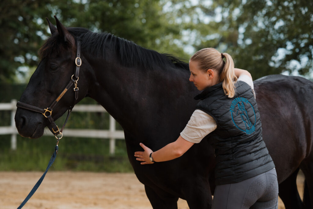 Impressum Katharina Neulinger