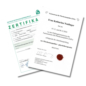 Zertifikate Katharina Neulinger